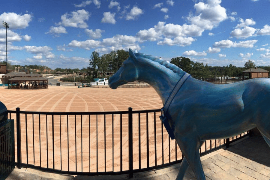 Tryon International Equestrian Center
