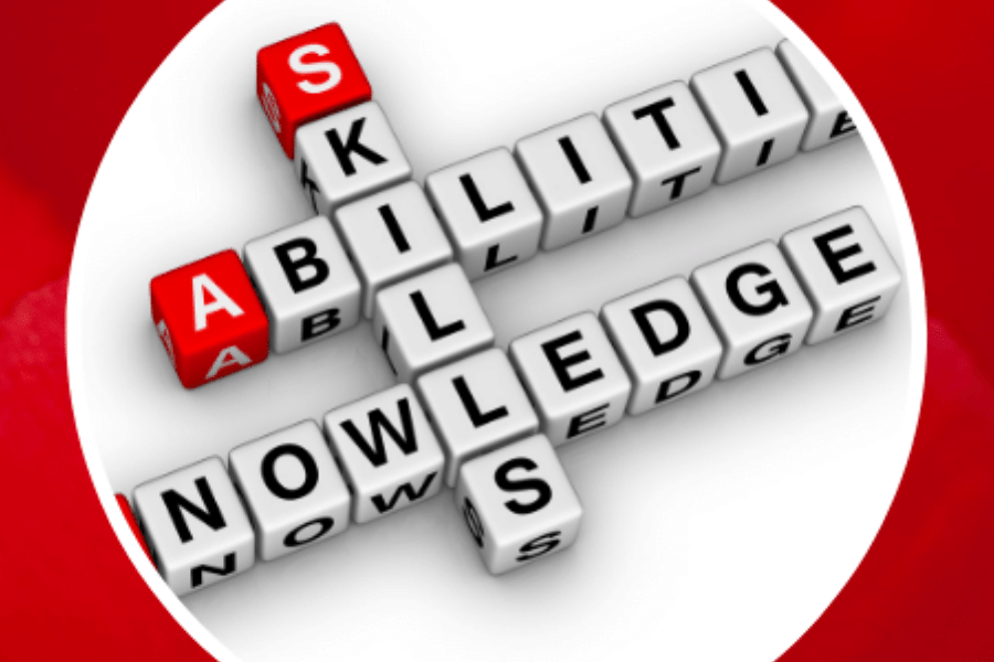 Skills, ability, knowledge to use the internet