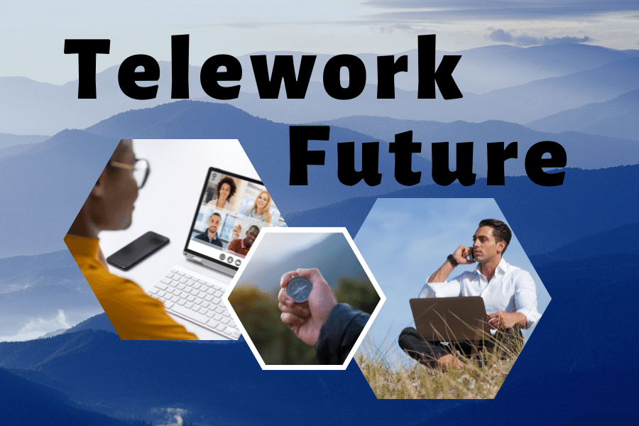 Telework - Teleeducation Future