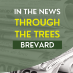 Through the Trees - in the news